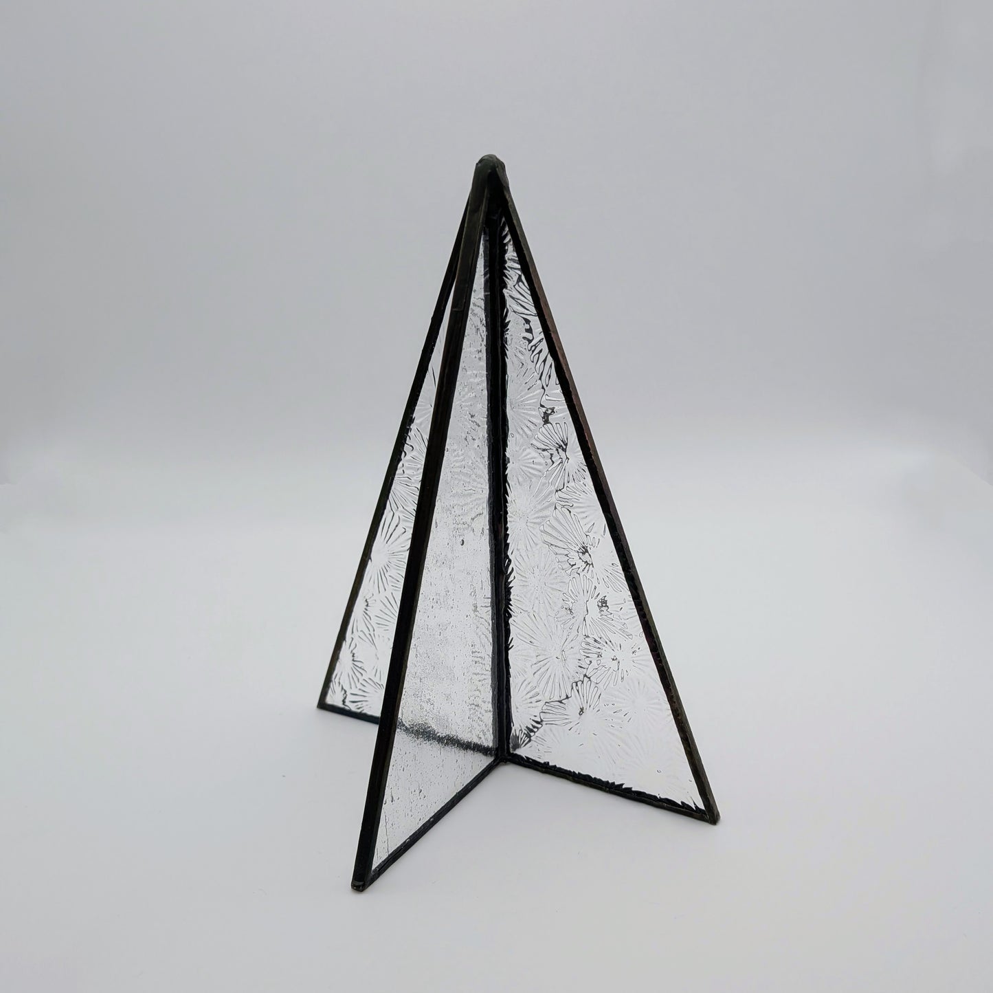 The Evergreen, Medium 6