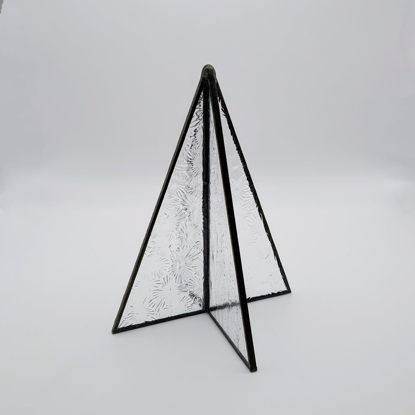 The Evergreen, Medium 6