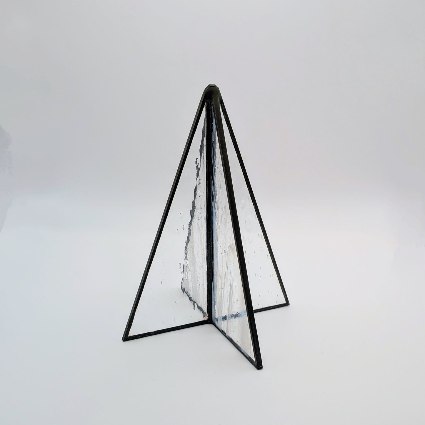 The Evergreen, Medium 2